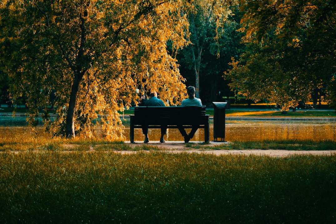 people in park chatting